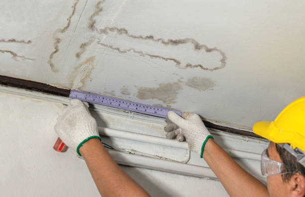 Reliable Water Damage contractor in McLean, TX by Water Damage Irwin